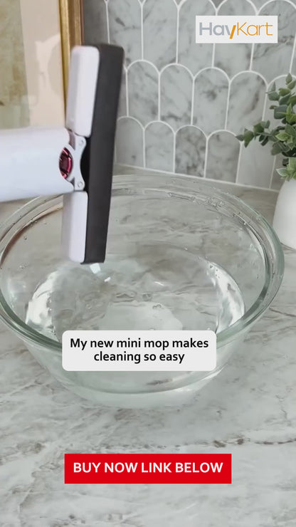 Portable Self-Squeeze Mini Mop